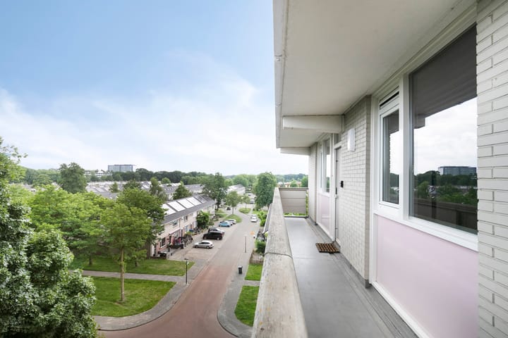 Foto 8 van Raamveld 41