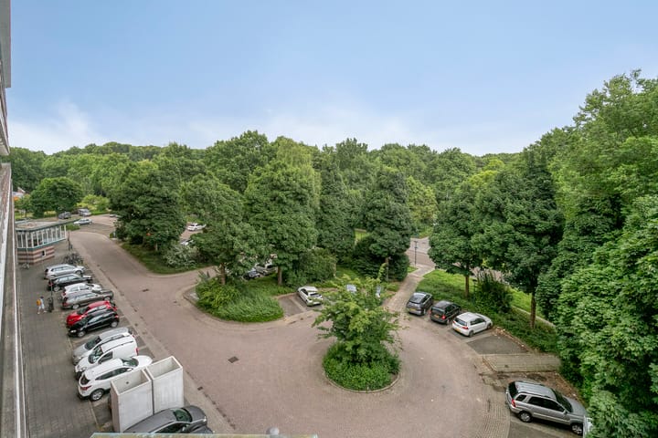 Foto 16 van Raamveld 41