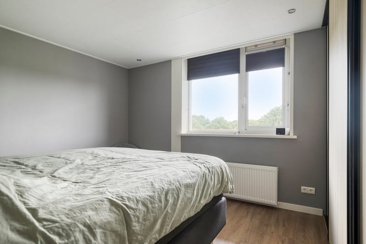 Foto 21 van Raamveld 41