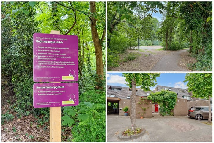 Foto 30 van Van der Zaenlaan 8