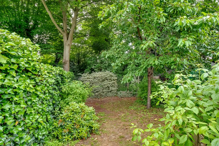 Foto 35 van Van der Zaenlaan 8