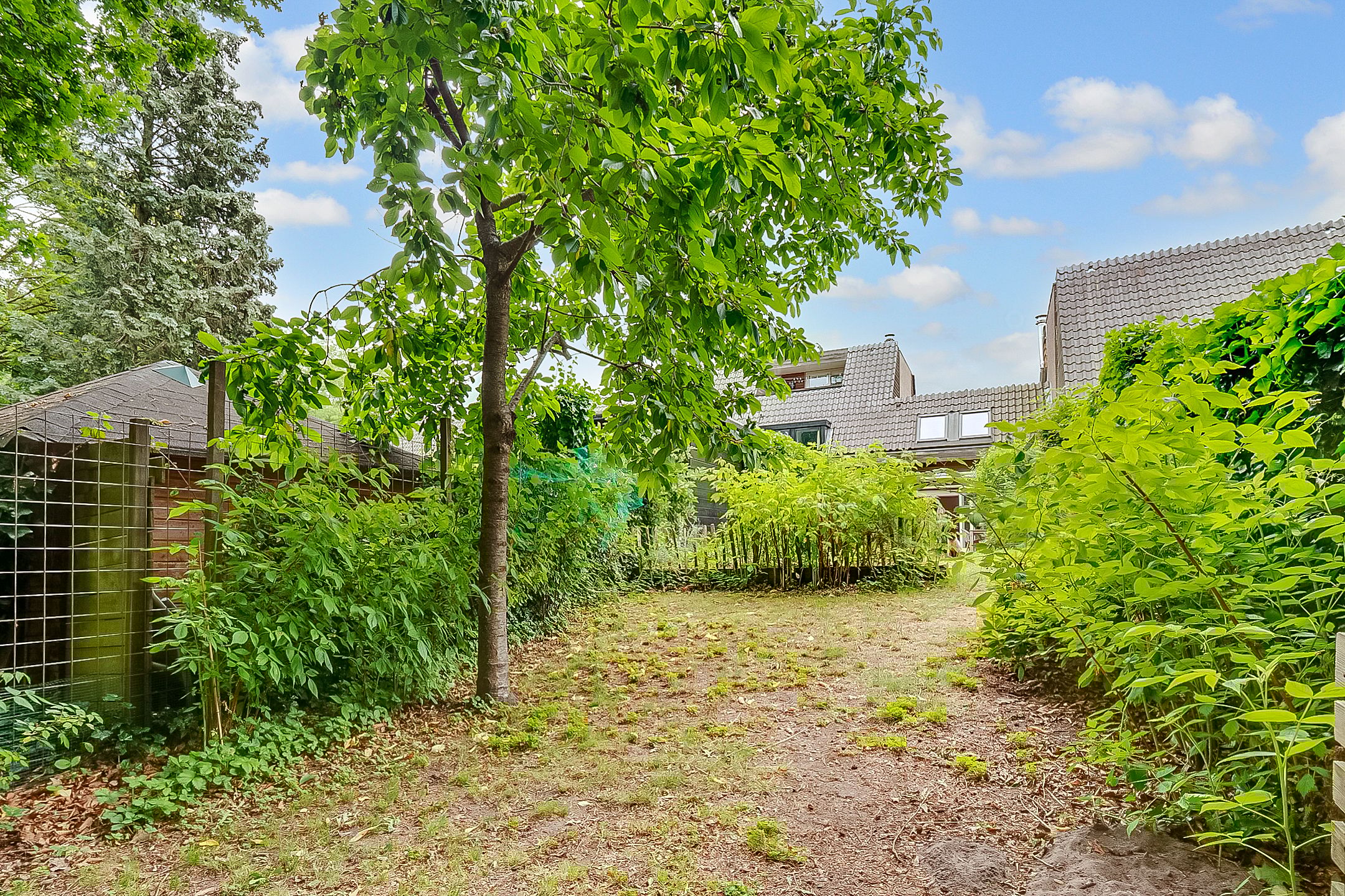 Foto 36 van Van der Zaenlaan 8