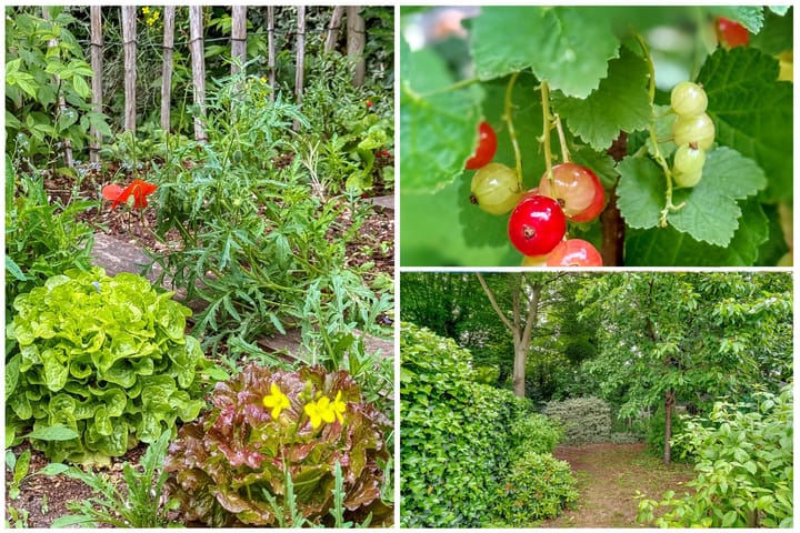 Foto 42 van Van der Zaenlaan 8