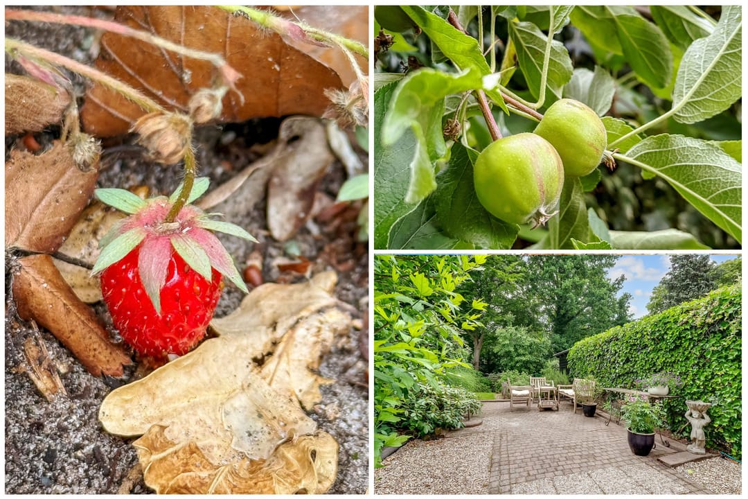 Foto 43 van Van der Zaenlaan 8