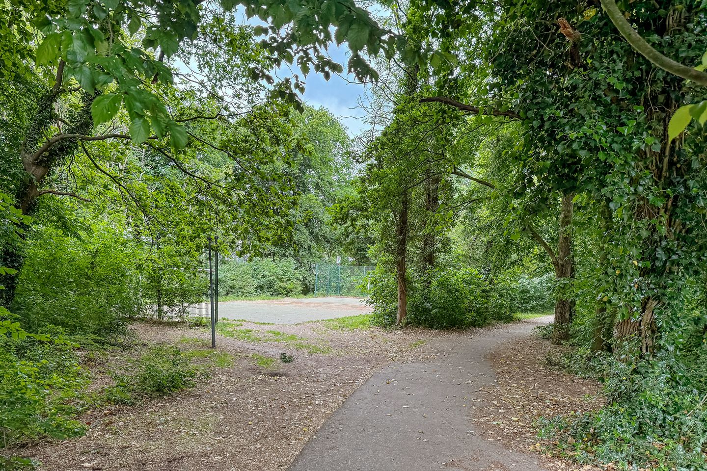 Foto 44 van Van der Zaenlaan 8