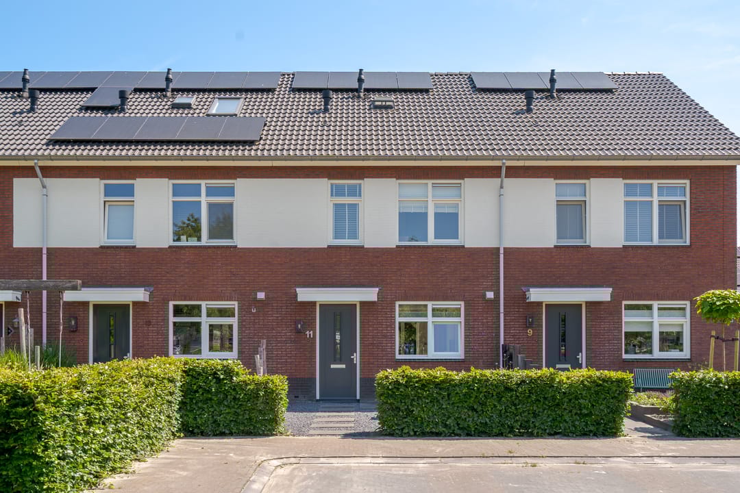 Foto 1 van Bosanemoon 11