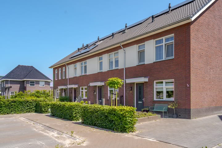 Foto 5 van Bosanemoon 11