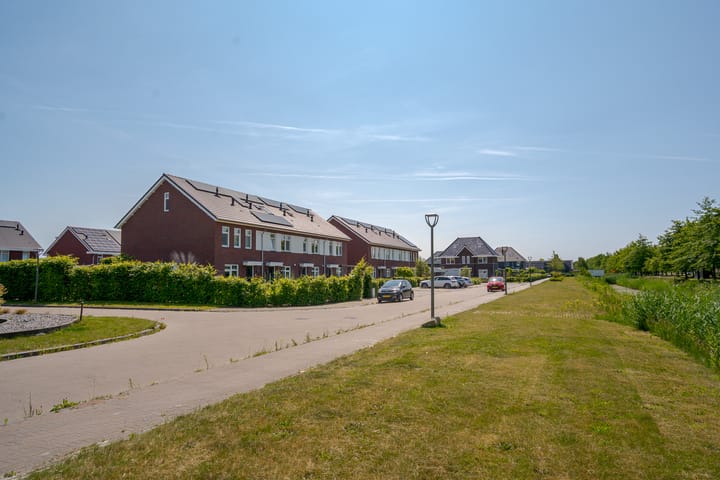 Foto 7 van Bosanemoon 11