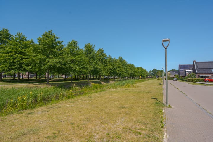 Foto 8 van Bosanemoon 11