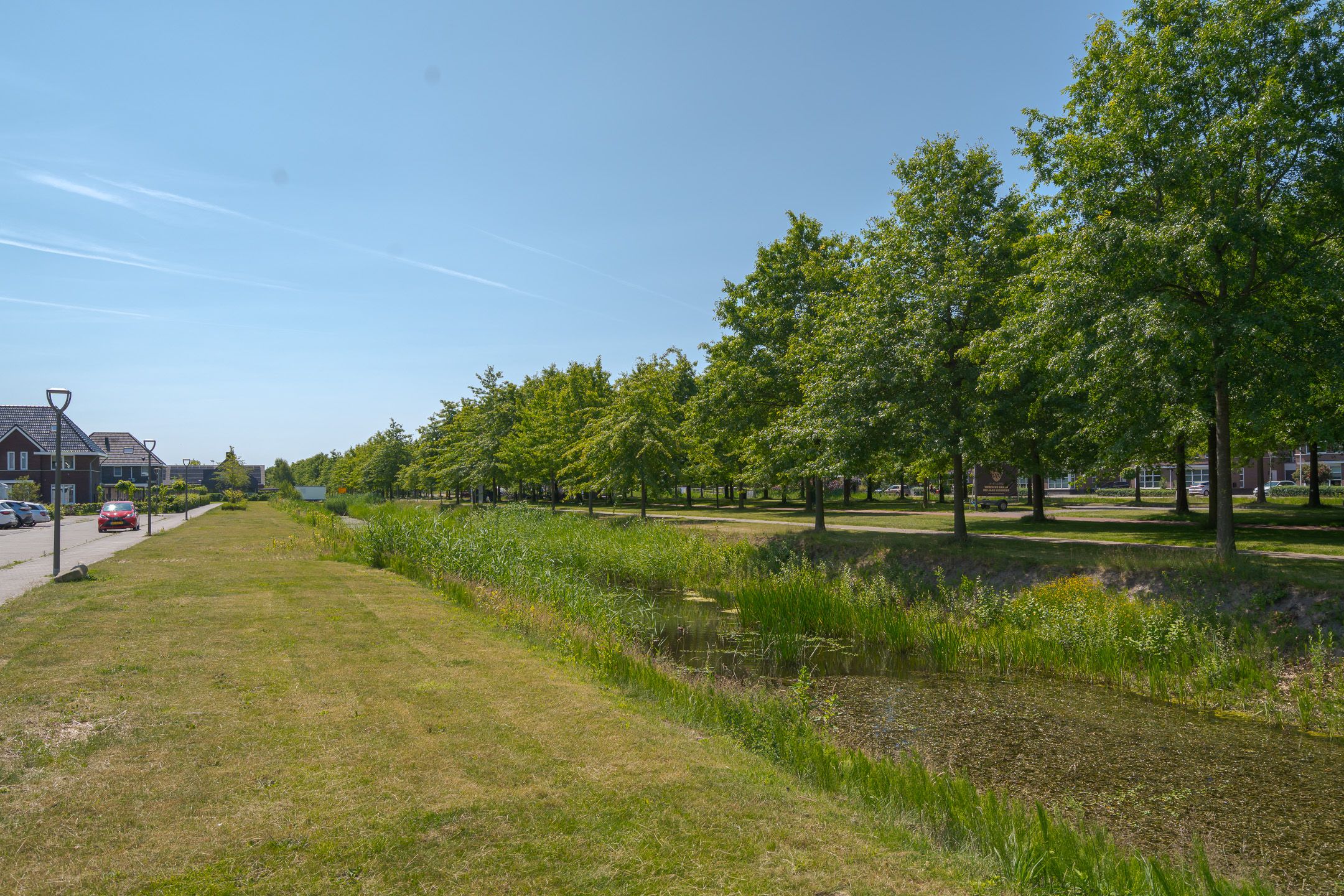 Foto 9 van Bosanemoon 11