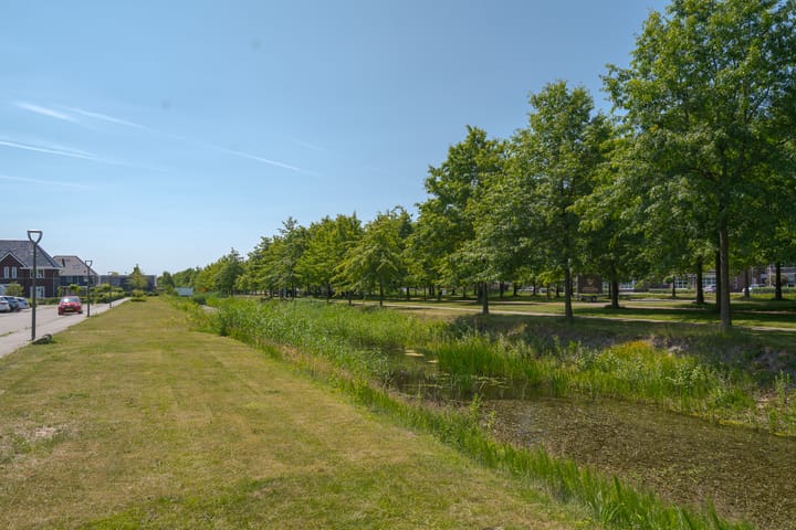 Foto 9 van Bosanemoon 11