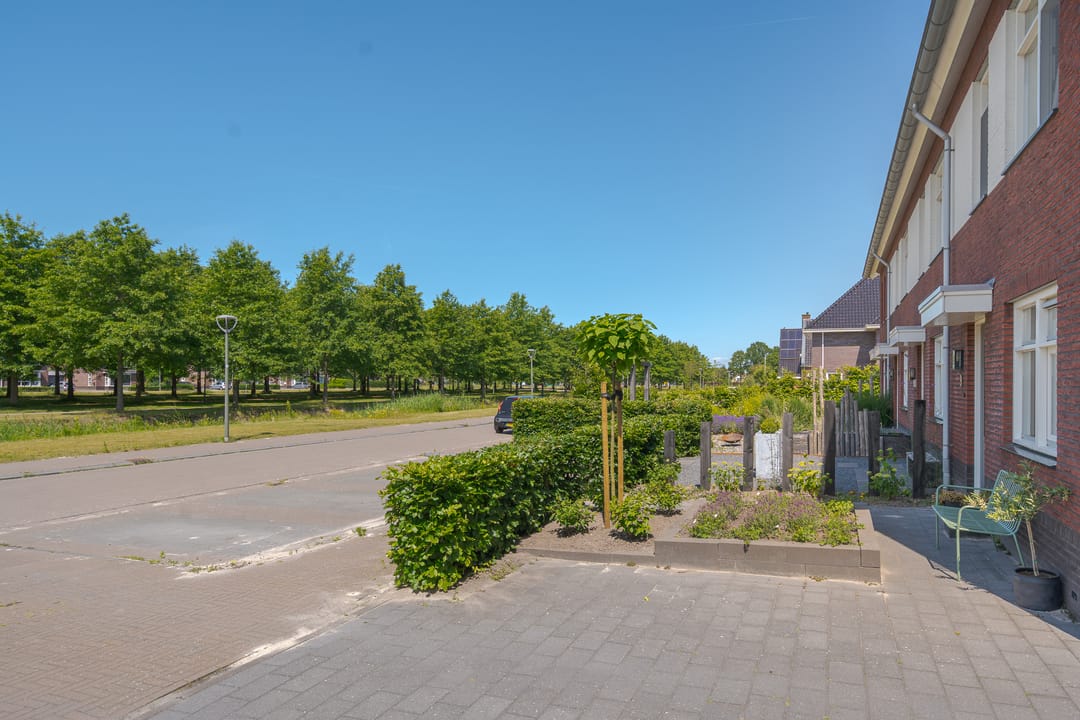 Foto 11 van Bosanemoon 11