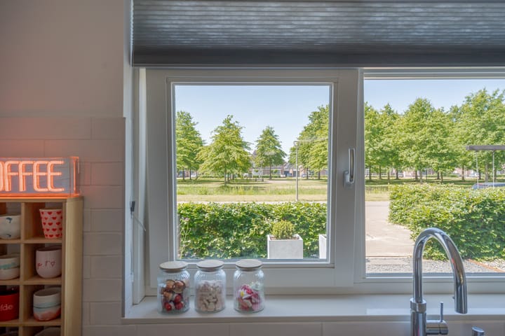 Foto 23 van Bosanemoon 11