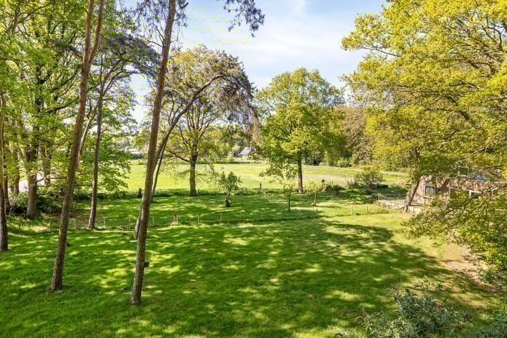 Foto 31 van Toterfout 5