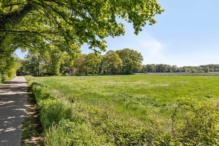 Foto 33 van Toterfout 5