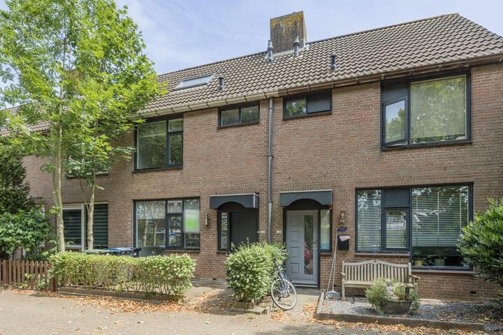 undefined main image