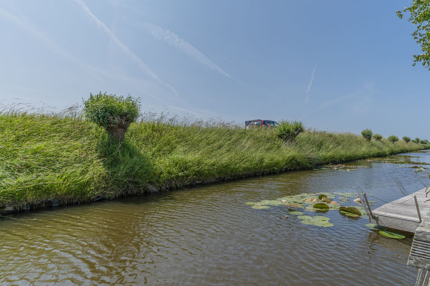 Foto 50 van Korenmolen 37