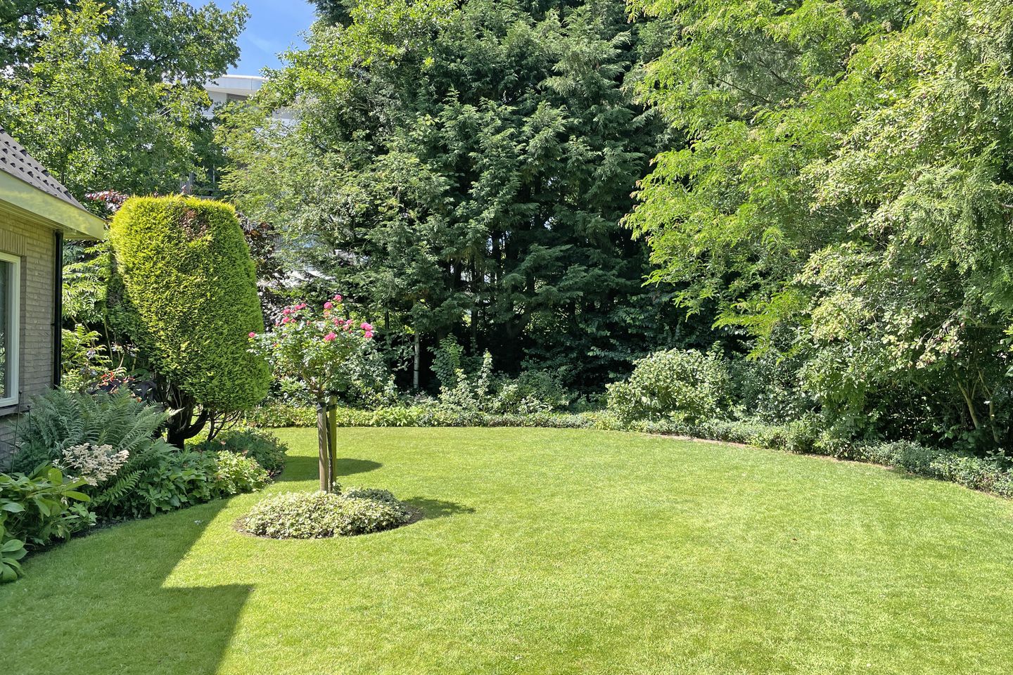 Foto 4 van Koninginneweg 9