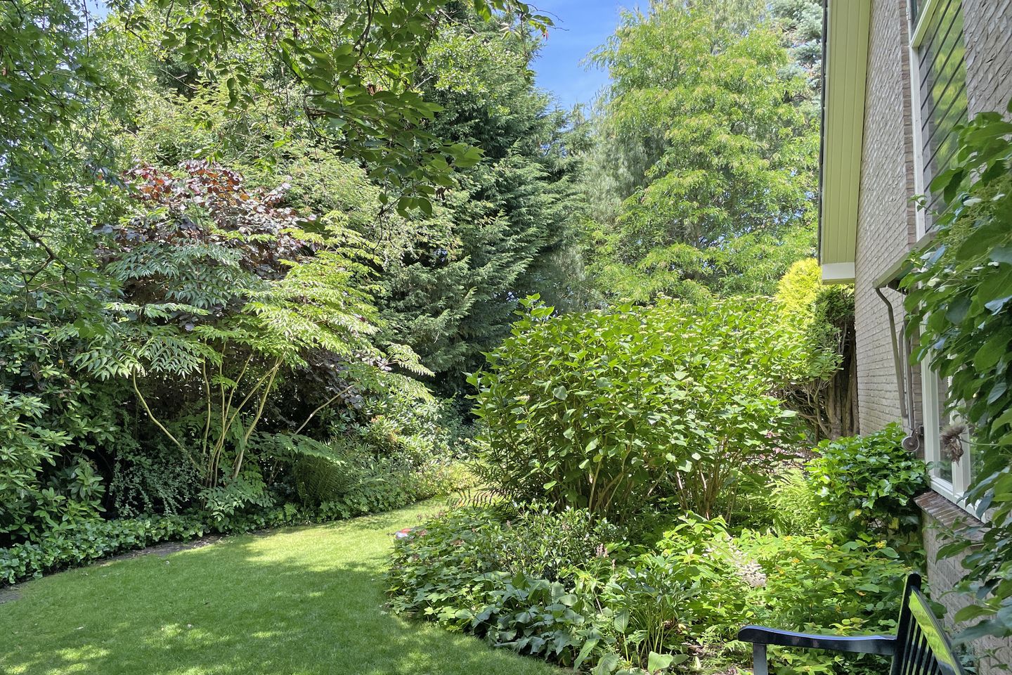 Foto 44 van Koninginneweg 9