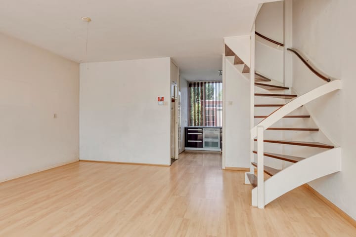 Photo 6 of Scorpius 9