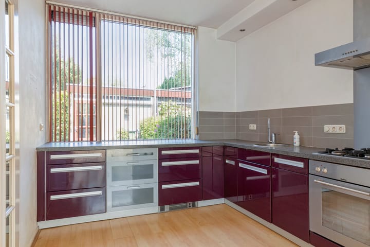 Photo 7 of Scorpius 9