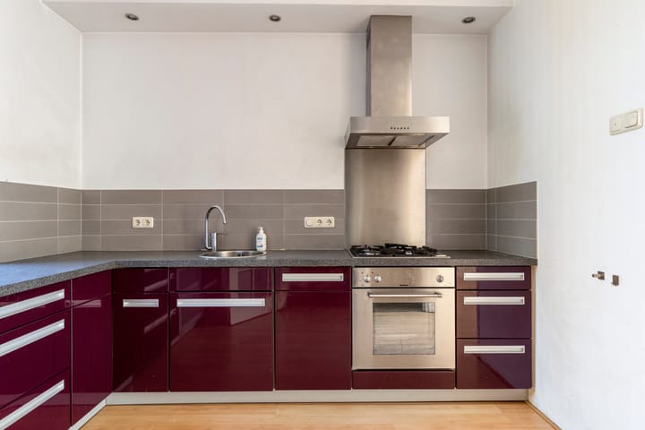 Photo 8 of Scorpius 9