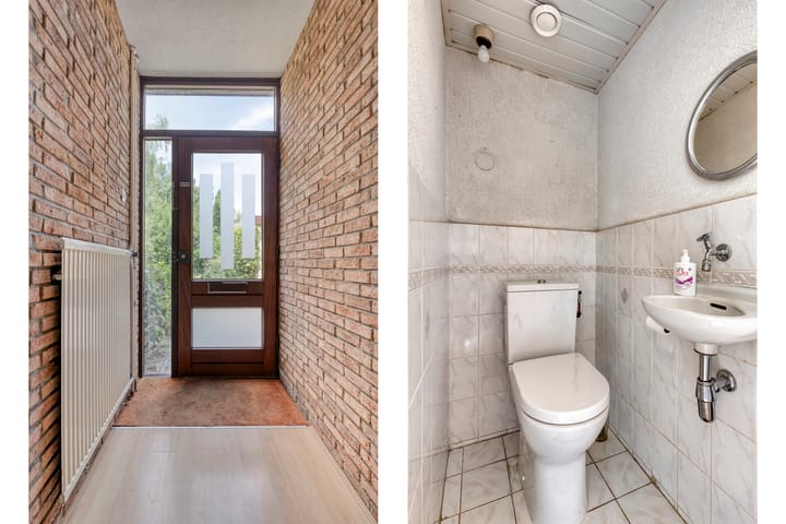 Photo 9 of Scorpius 9