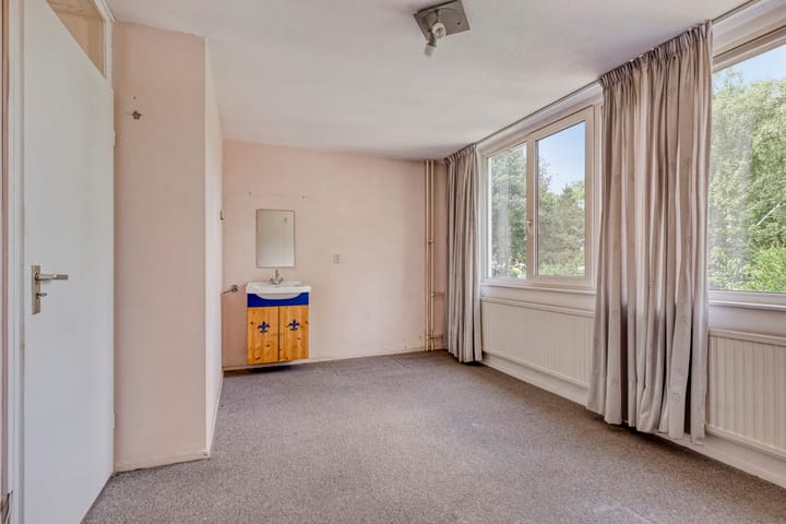 Photo 10 of Scorpius 9