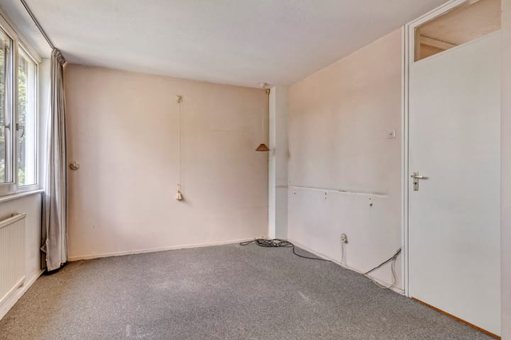 Photo 11 of Scorpius 9