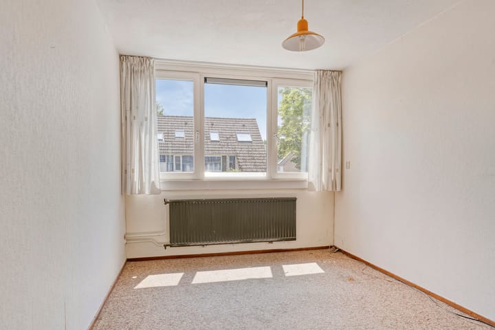 Photo 12 of Scorpius 9