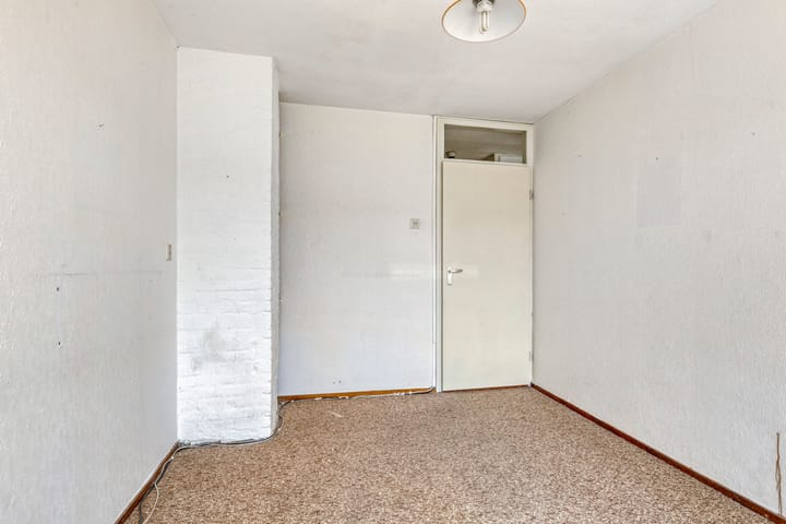 Photo 13 of Scorpius 9