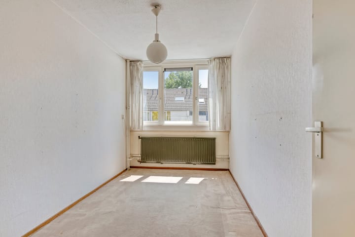 Photo 14 of Scorpius 9