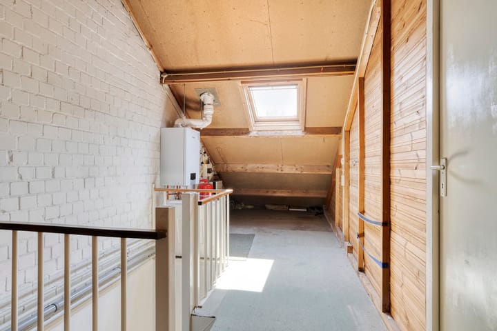 Photo 17 of Scorpius 9