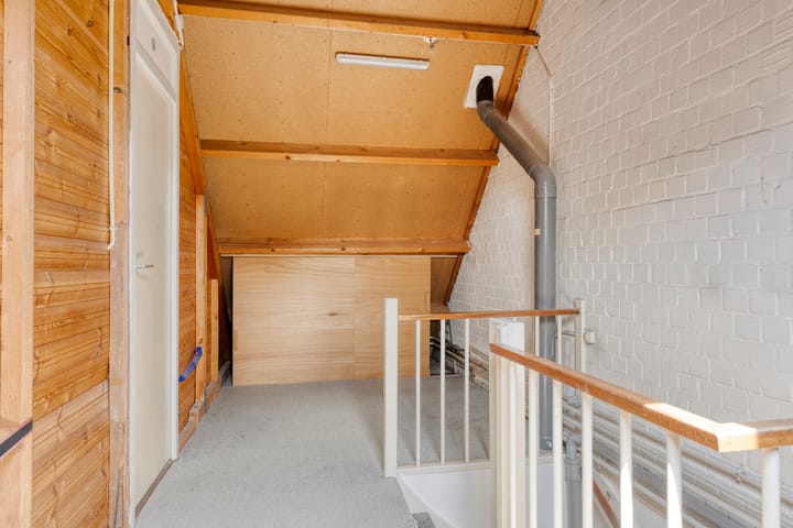 Photo 18 of Scorpius 9