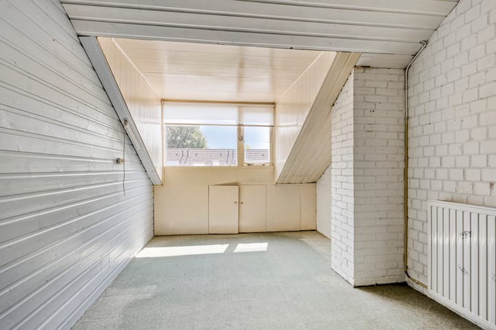 Photo 19 of Scorpius 9