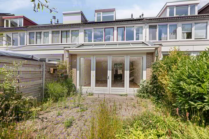 Photo 20 of Scorpius 9