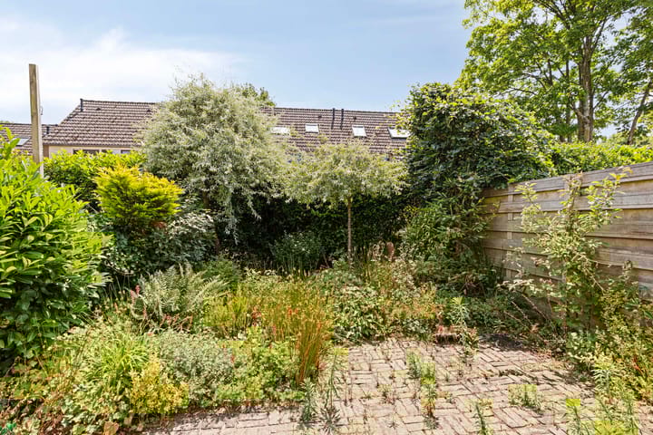 Photo 21 of Scorpius 9