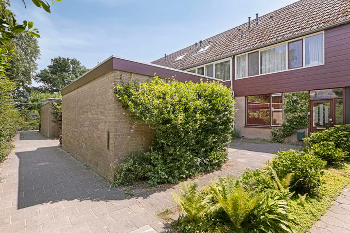 Photo 23 of Scorpius 9