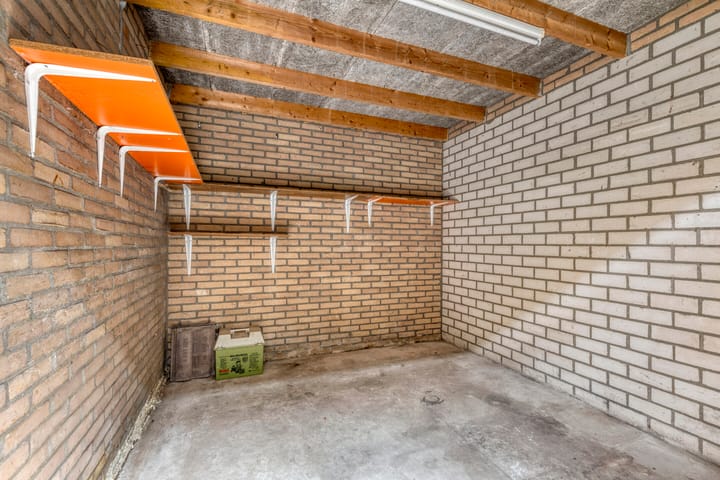 Photo 24 of Scorpius 9