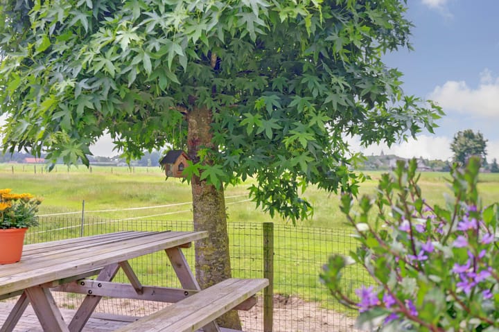 Foto 92 van Noordkant 23