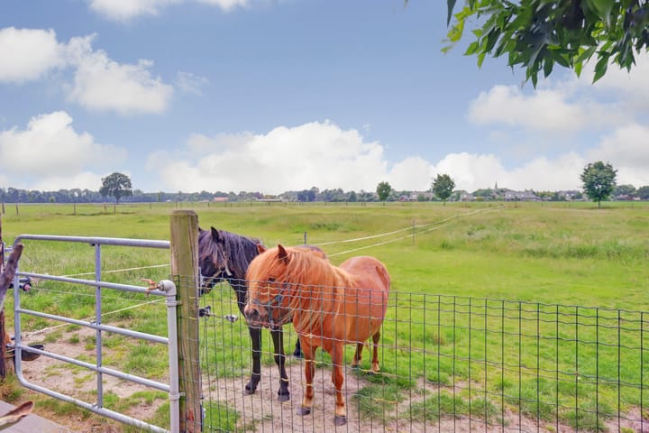 Foto 93 van Noordkant 23