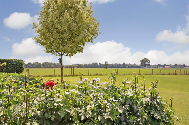 Foto 95 van Noordkant 23