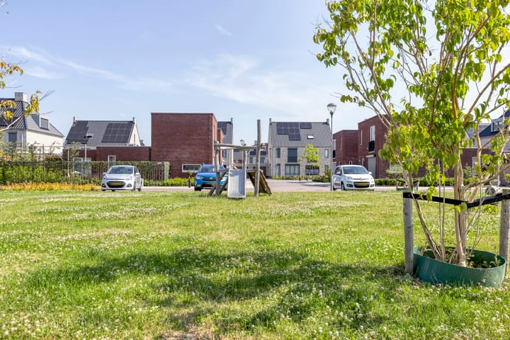 Photo 6 of Tanzaniet 13