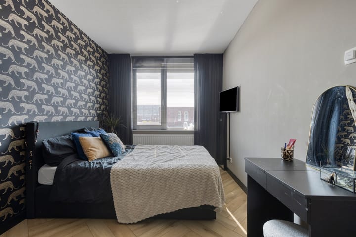 Photo 18 of Tanzaniet 13