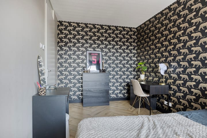 Photo 19 of Tanzaniet 13