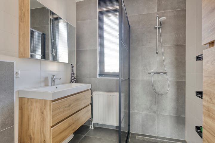 Photo 20 of Tanzaniet 13