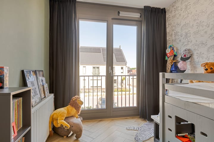 Photo 22 of Tanzaniet 13