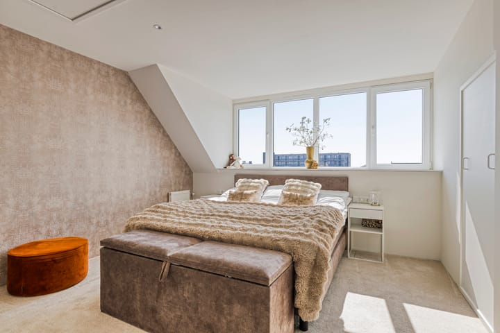 Photo 25 of Tanzaniet 13