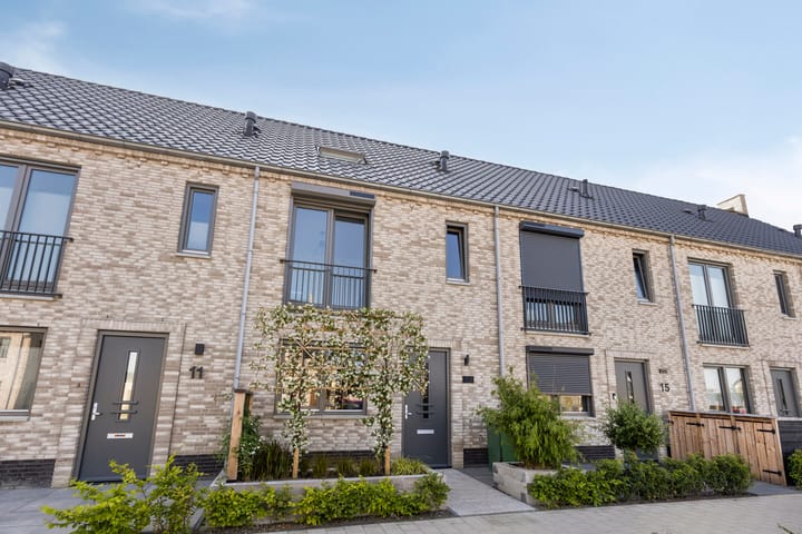 Photo 31 of Tanzaniet 13