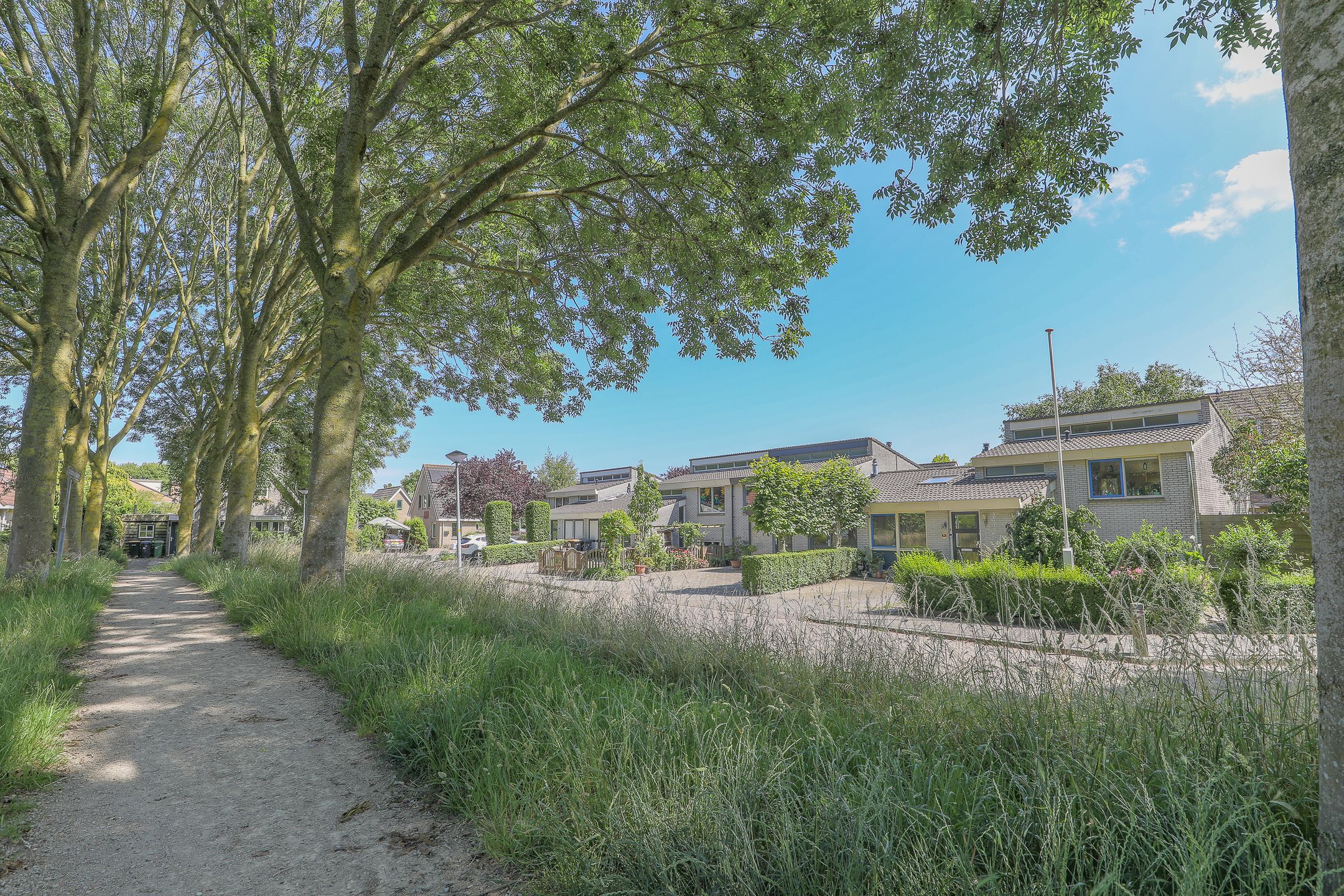 Foto 6 van Melkbon 13